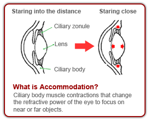 image4_accommodation