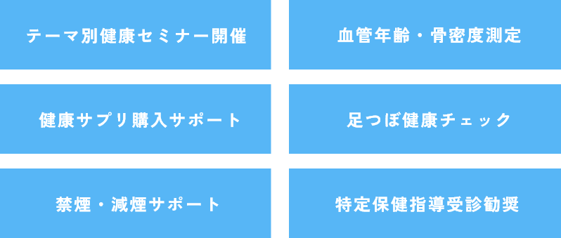 各種健康支援策：テーマ別健康セミナー開催、血管年齢・骨密度測定、健康サプリ購入サポート、足つぼ健康チェック、禁煙・減煙サポート、特定保健指導受診勧奨