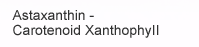 Astaxanthin – Carotenoid Xanthophyll