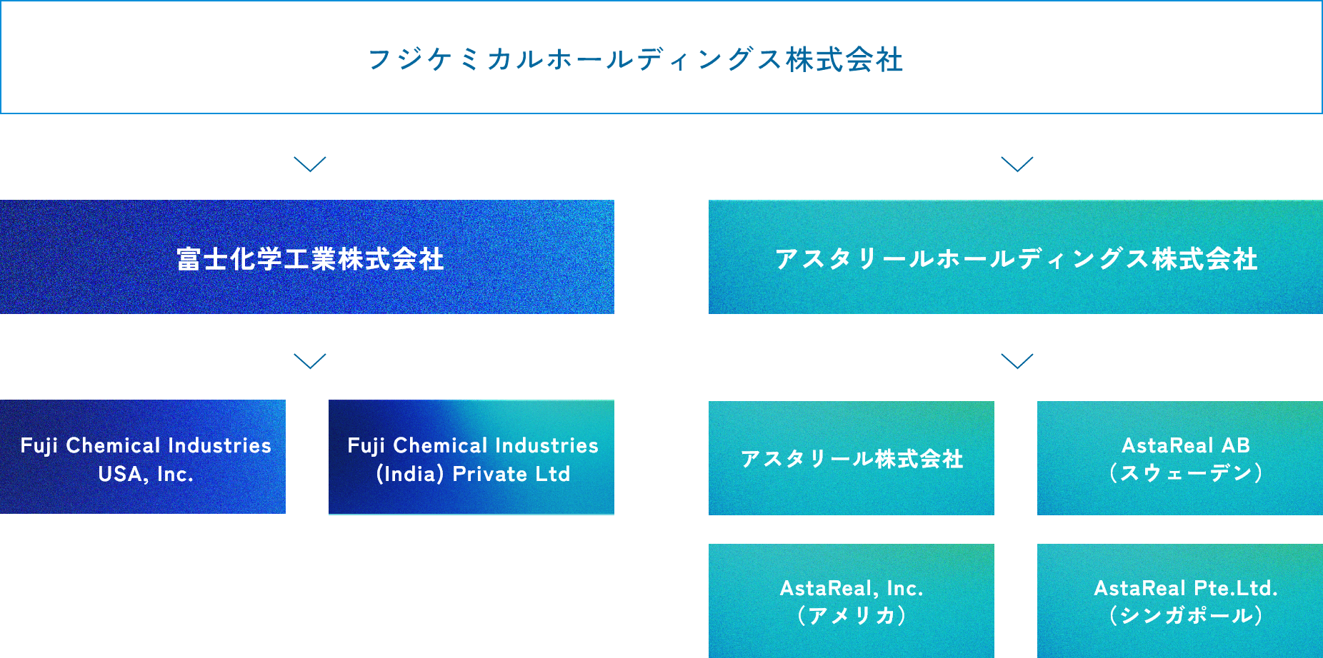 富士ケミカルホールディングスのグループ会社構成