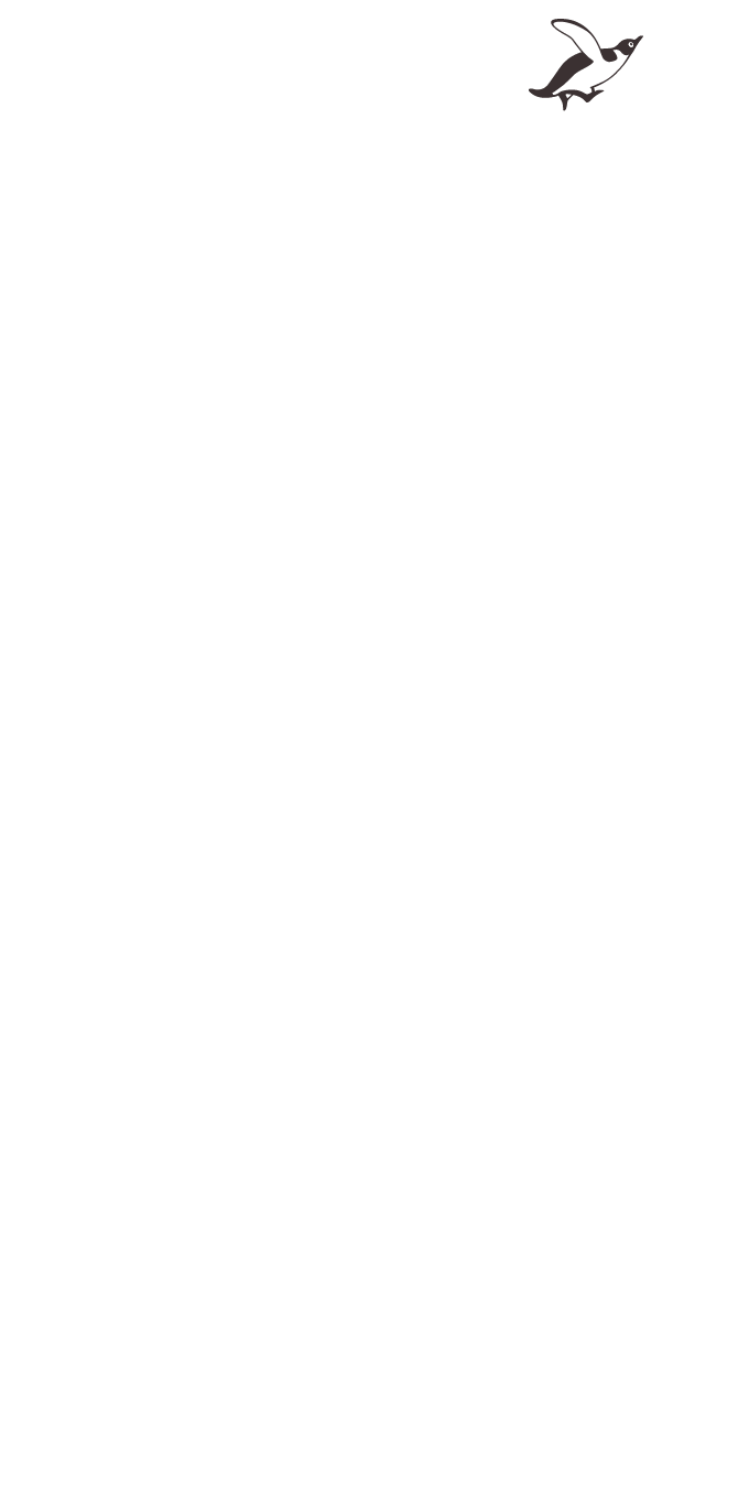 brand pyramid